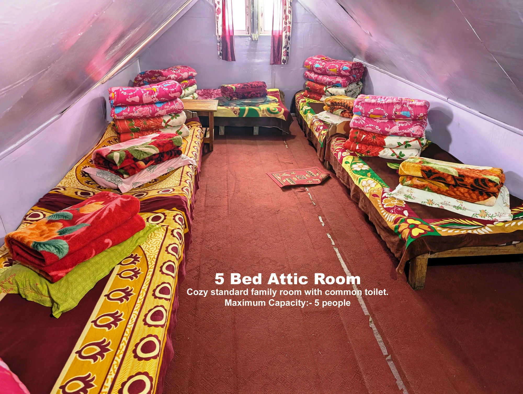 Five-bed attic room with shared toilet